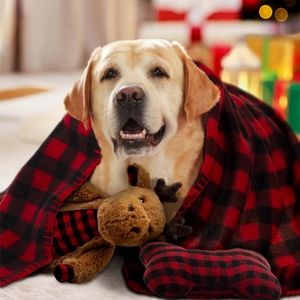 4 Piece Dog Toy Gift Set